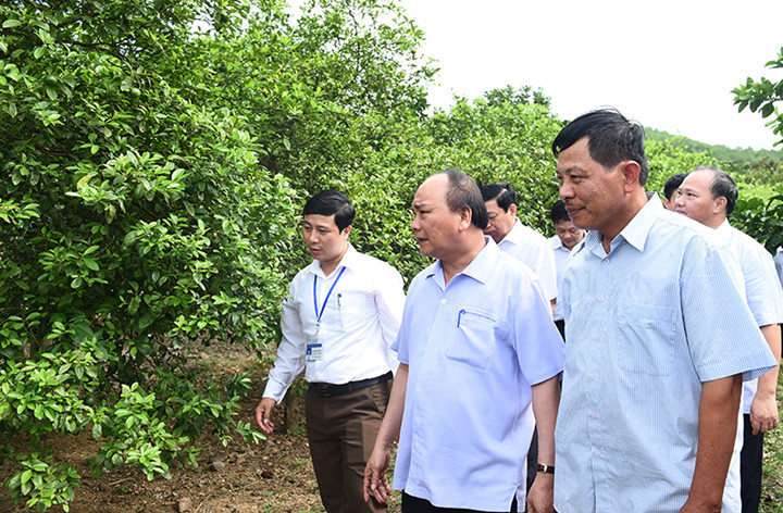 Prime Minister visits new style rural commune