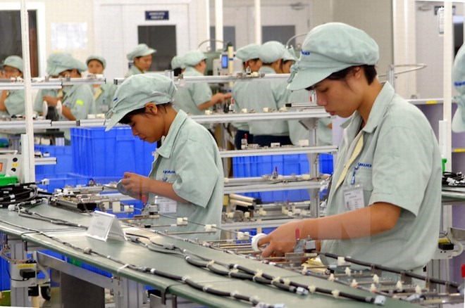 Japanese group seeks cooperation in HCM City