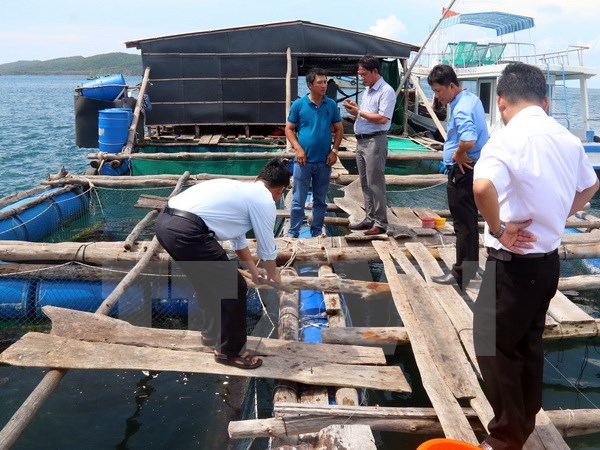 Focusing on developing economic regions, economic zones and maritime economy