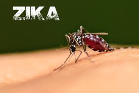 Zika risk minimal at Olympics