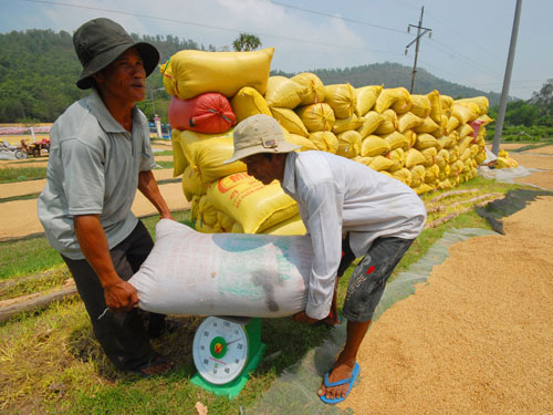 Ministry targets USD3 5 billion of rice export by 2020