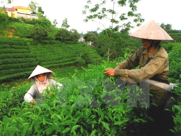 Thai Nguyen’s strengths introduced to US enterprises