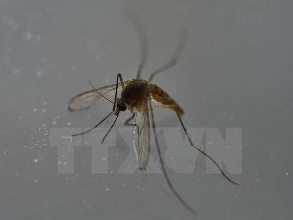Philippines confirms sixth case of Zika