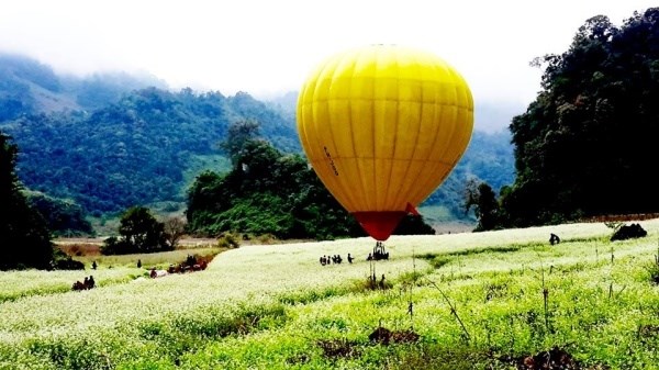 Moc Chau hosts int l air balloon festival