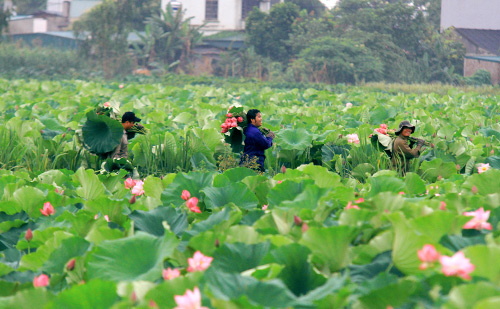 Vietnam’s landscapes and people to appear on German TV show