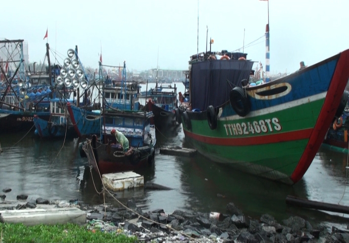 Da Nang advances over VND2 54 billion to phase out small capacity vessels