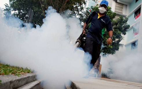 242 cases of Zika virus in Singapore so far