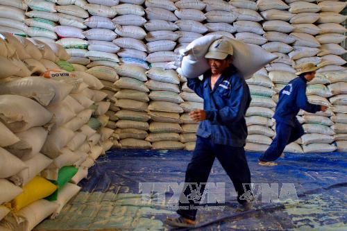 Vietnam wins 150,000-tonne rice contract with Philippines