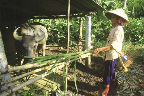 Preferential loans help families escape poverty
