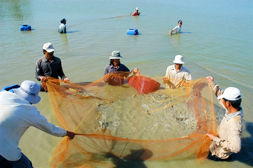 New development in coastal areas of Bac Lieu province