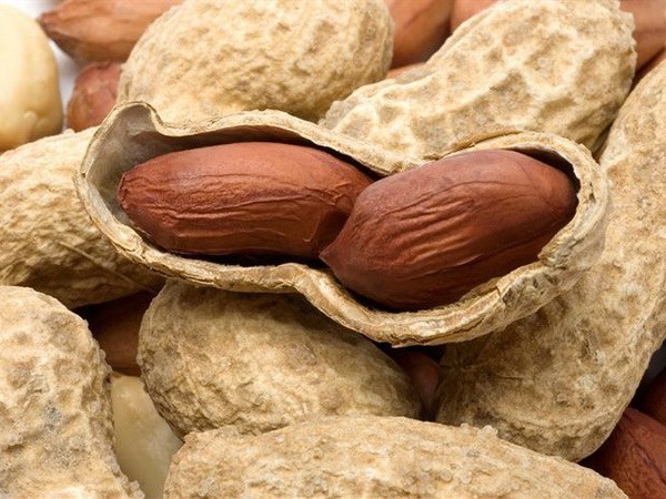 Vietnam suspends import of US dried grains, peanuts from Sudan, Hong Kong