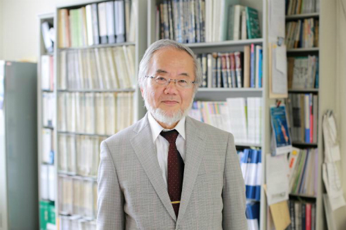 Japanese scientist wins Nobel Prize in medicine