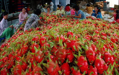 Fruit and vegetable export value surpasses rice