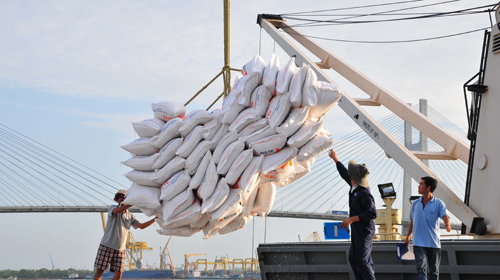 Rice exports see growth in big markets