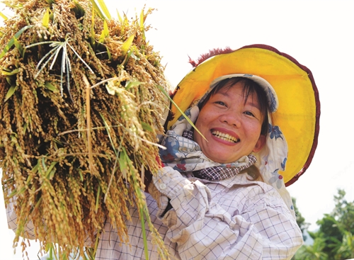 Positive changes in mountainous district
