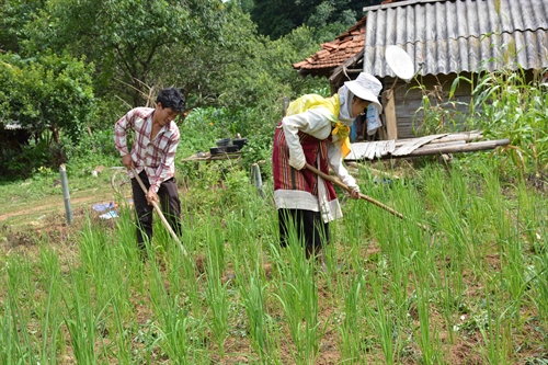 Positive changes in northern border commune
