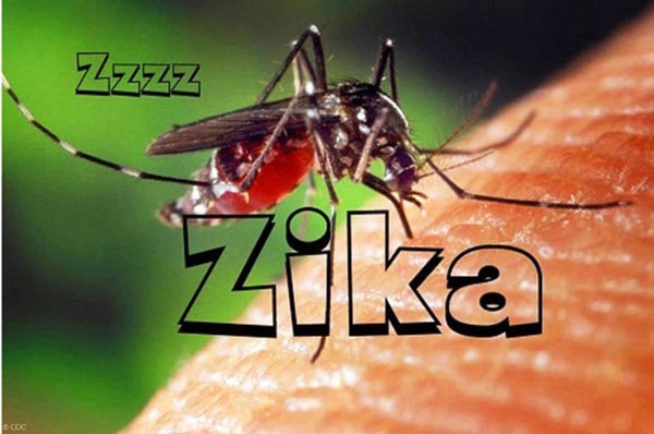Dozens of new Zika cases in Thailand and Philippines