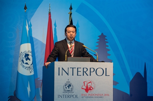 Chinese security official elected Interpol Chief