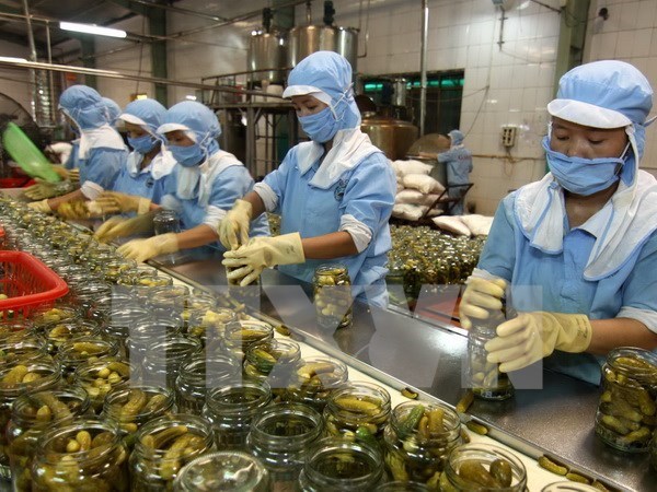 EU pledges to cooperate in food safety with HCM City