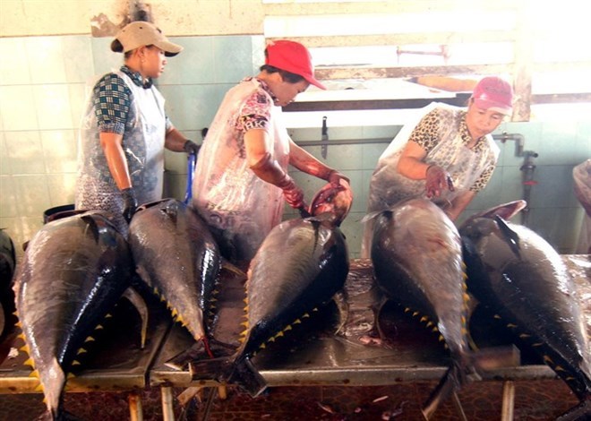 Tuna export shows sign of recovery