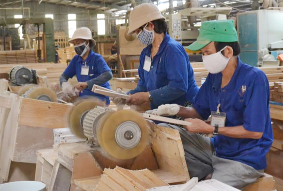 Agriculture, forestry and fishery sector bags nearly USD7 billion in trade surplus
