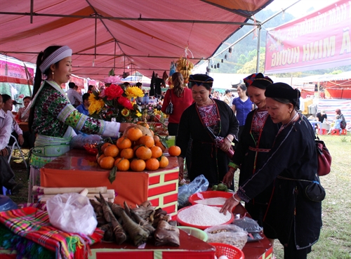 Mountainous province helps ethnic minorities increase living standard
