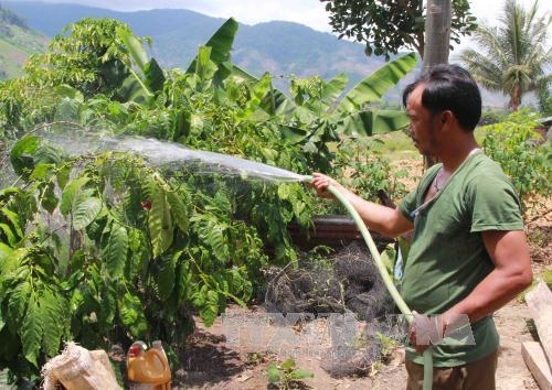 Over 97 of rural families in Dak Lak province have access to national grid