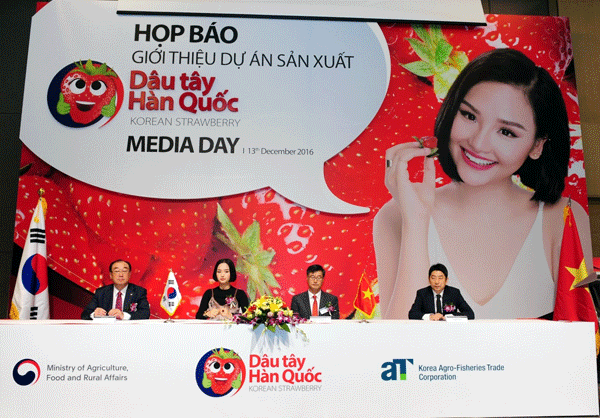 RoK fresh strawberries officially imported into Vietnam