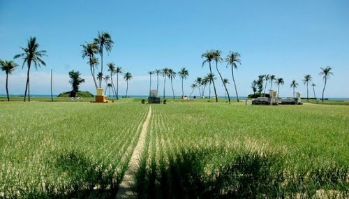 Building products associated with the sea and island brand