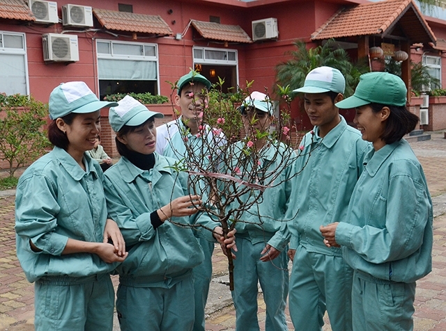 Tet for workers