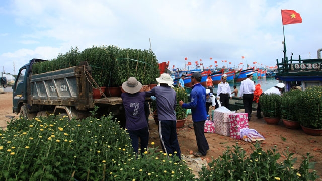 Tet on Ly Son Island
