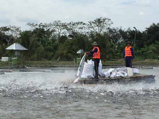 VASEP believes in USD7 4 billion of aquatic exports this year