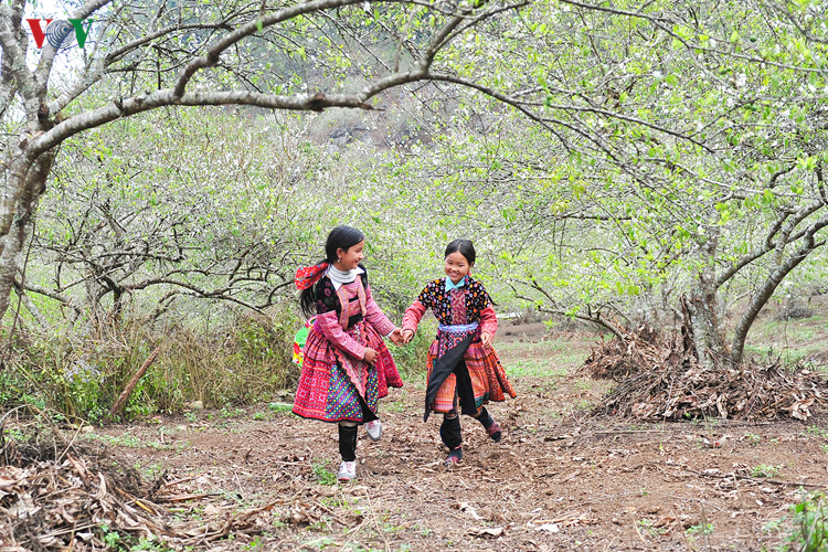 H’Mong kids enjoy early Tet in Moc Chau