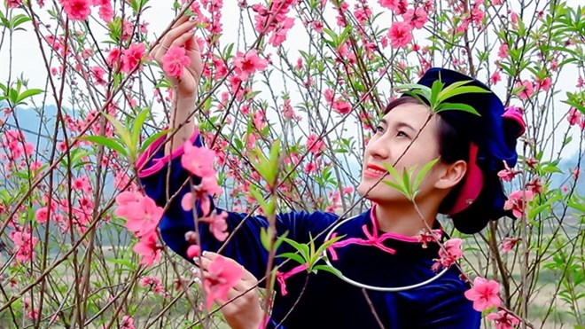 Peach flower festival kicks off in Lang Son