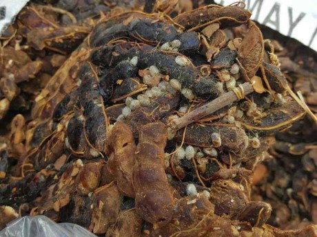 Vietnam halts agricultural product imports from Indonesia
