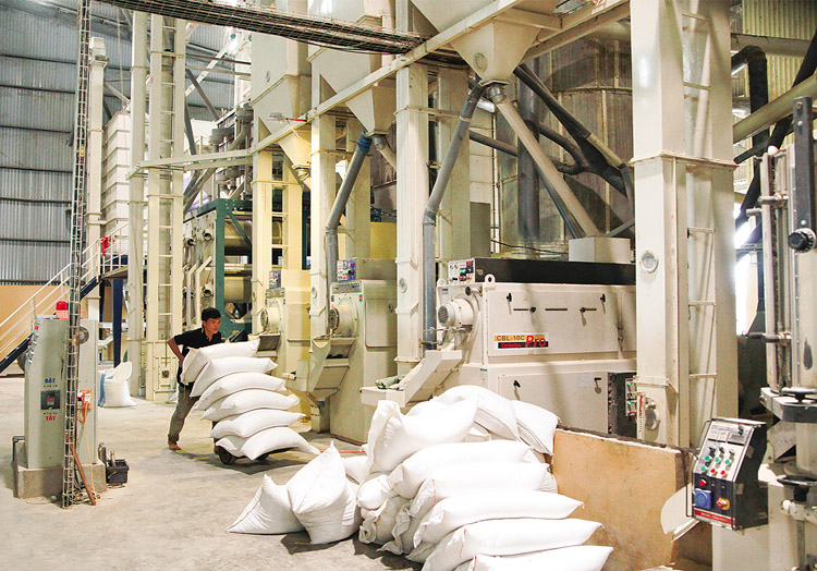 Rice trade deal with Philippines extended to late 2018