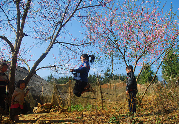 Mountainous town’s peach flowers show off beauty