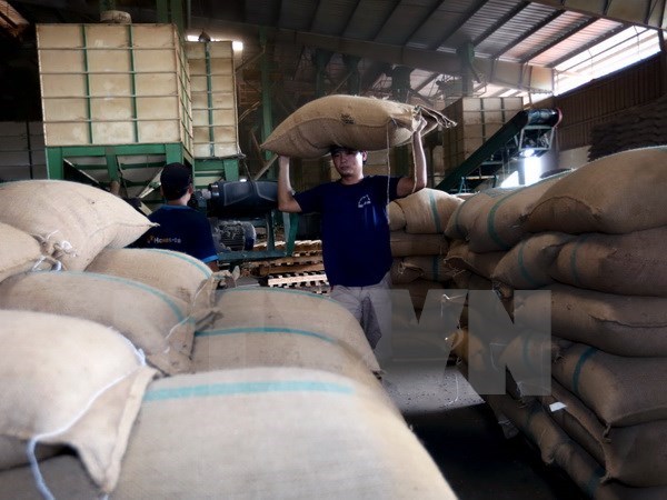 Algeria ranks fourth among Vietnam’s export destinations in Africa