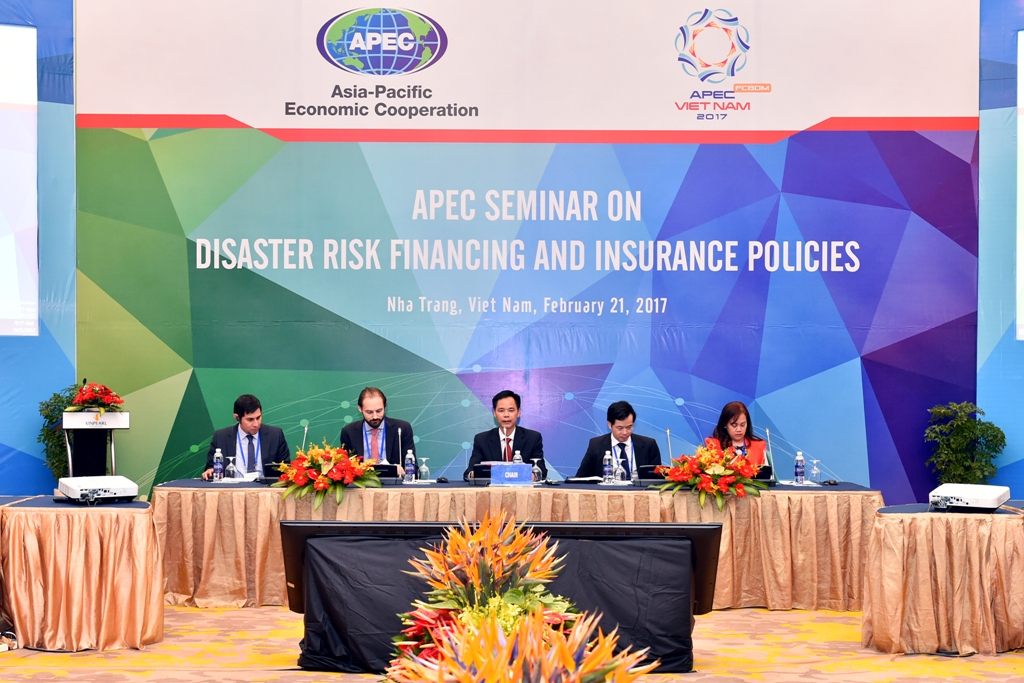 Workshop on Disaster Risk Financing and Insurance Policies