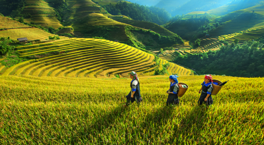 Vietnam - Top low-cost destination in 2017