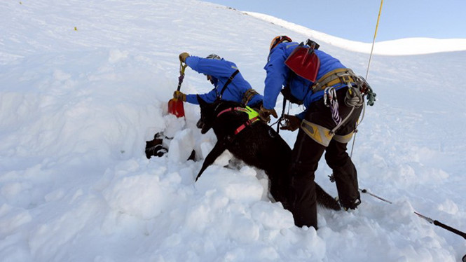 Avalanche in France kills 4 people