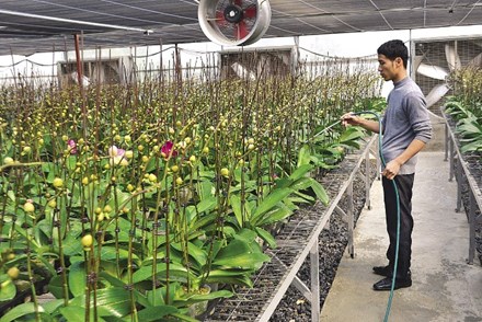 Some VND7 trillion invested in building new-style rural areas