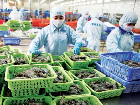 Shrimp export expected to hit USD3 4 billion