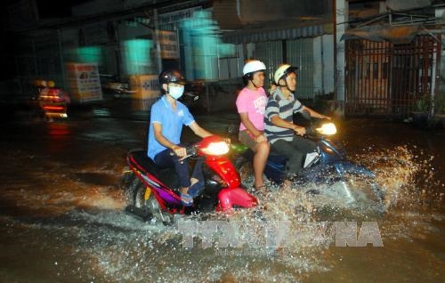 Ho Chi Minh city actively prevents natural disasters