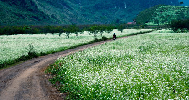 Northwestern mountainous region through four flower seasons