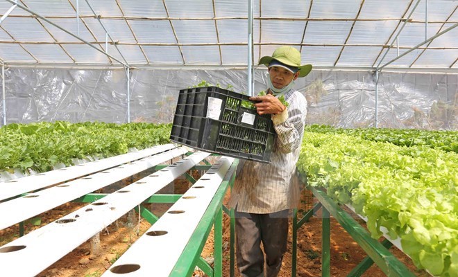 Agricultural sector pins hope on Japanese investment