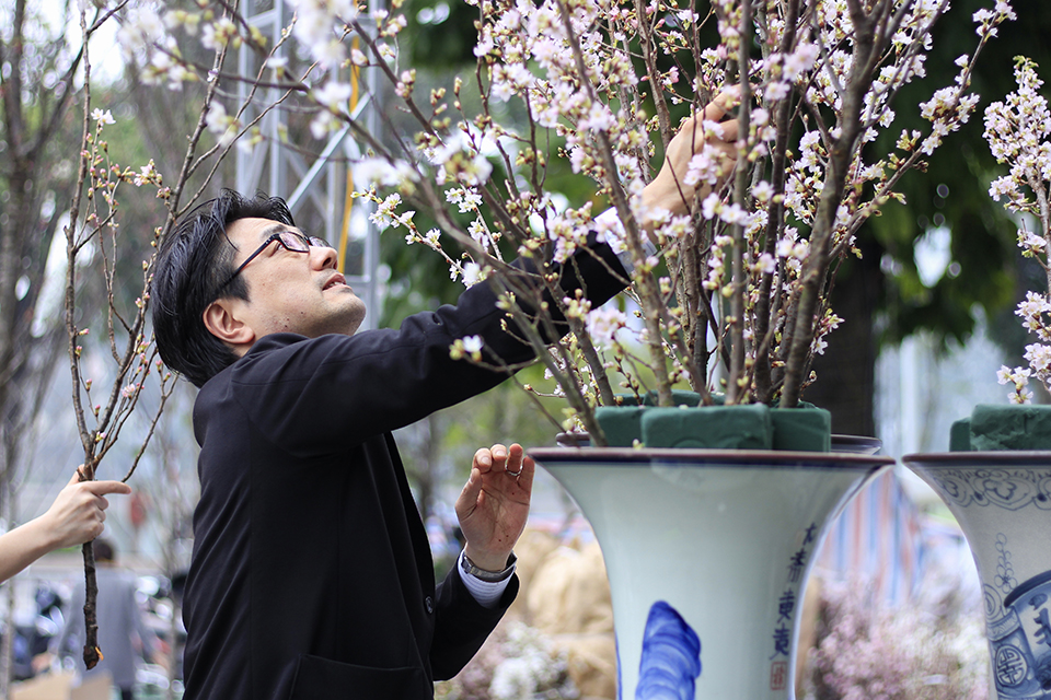 Diverse cultural activities of Japanese Cherry Festival 2017 in Hanoi