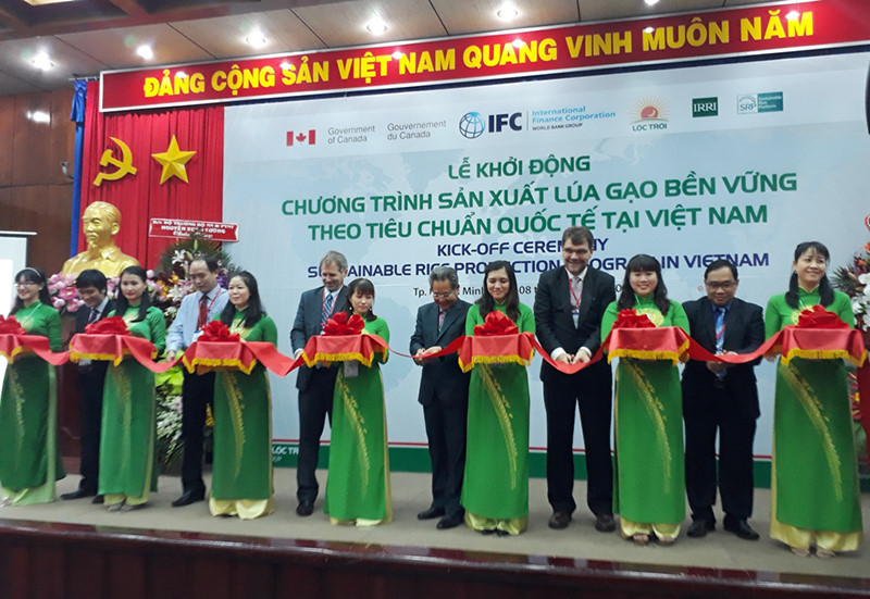 Sustainable rice production program launched in Vietnam