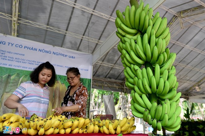 How to develop organic production in Vietnam