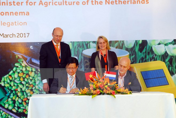 Dutch firms seek investment and business opportunities in Vietnam